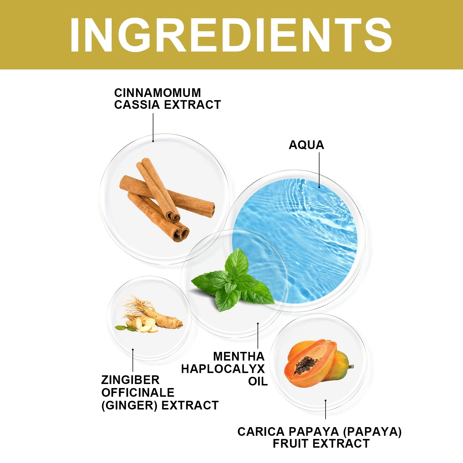 EELHOE Breast Care Patch — Ingredient panel featuring ginger, cassia, mint and papaya.