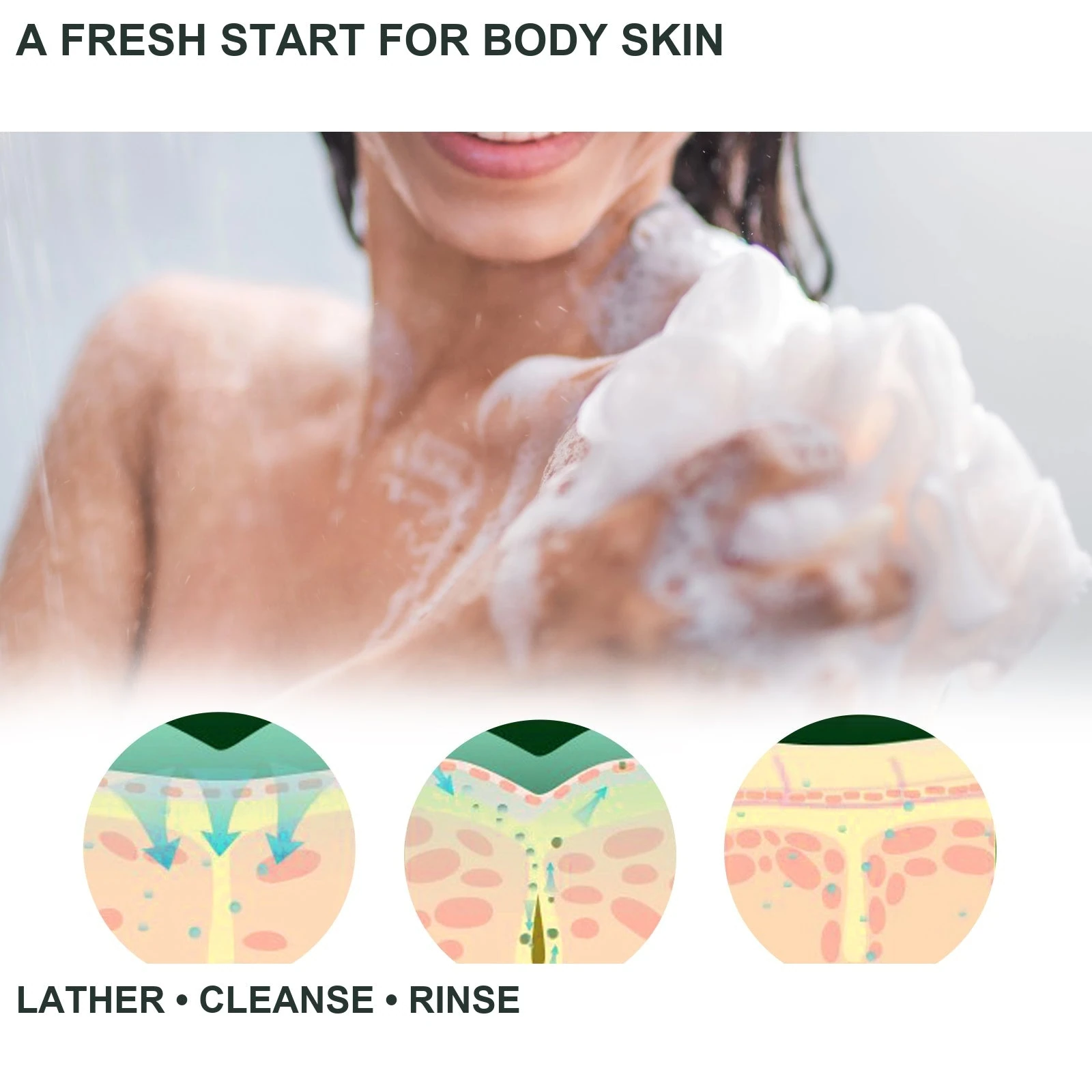 EELHOE Body lather and skin illustration
