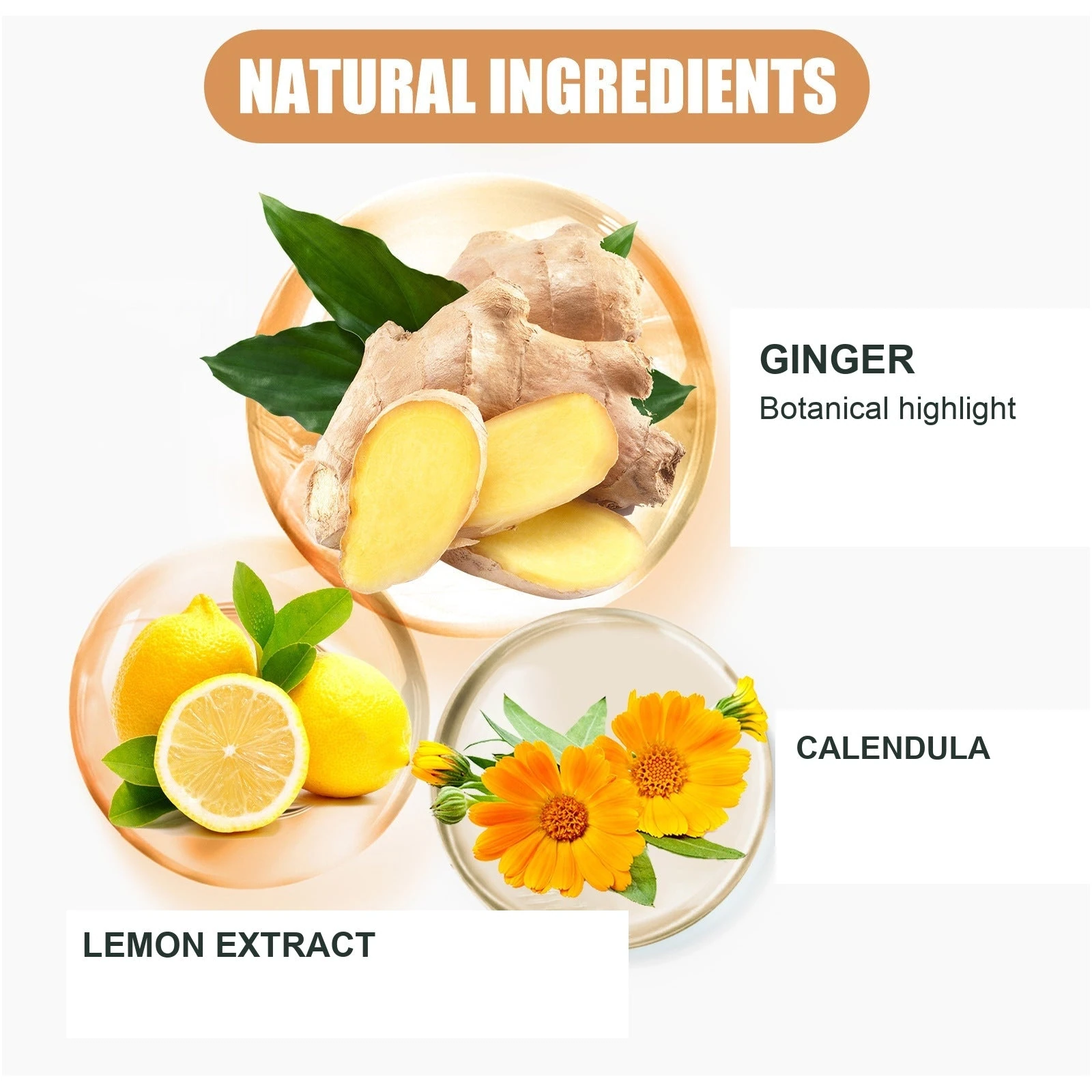 EELHOE Ginger calendula and lemon panel