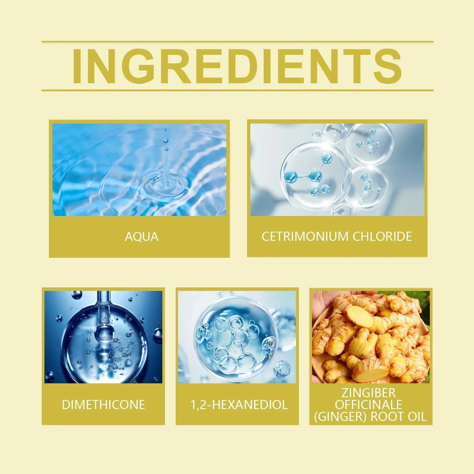 EELHOE Ginger conditioner ingredient panel