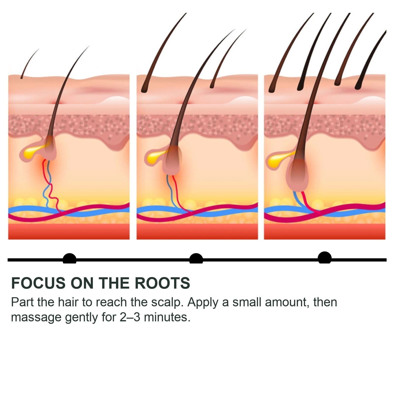 EELHOE Ginger Root Oil For Hair — Illustrated scalp-care concept.