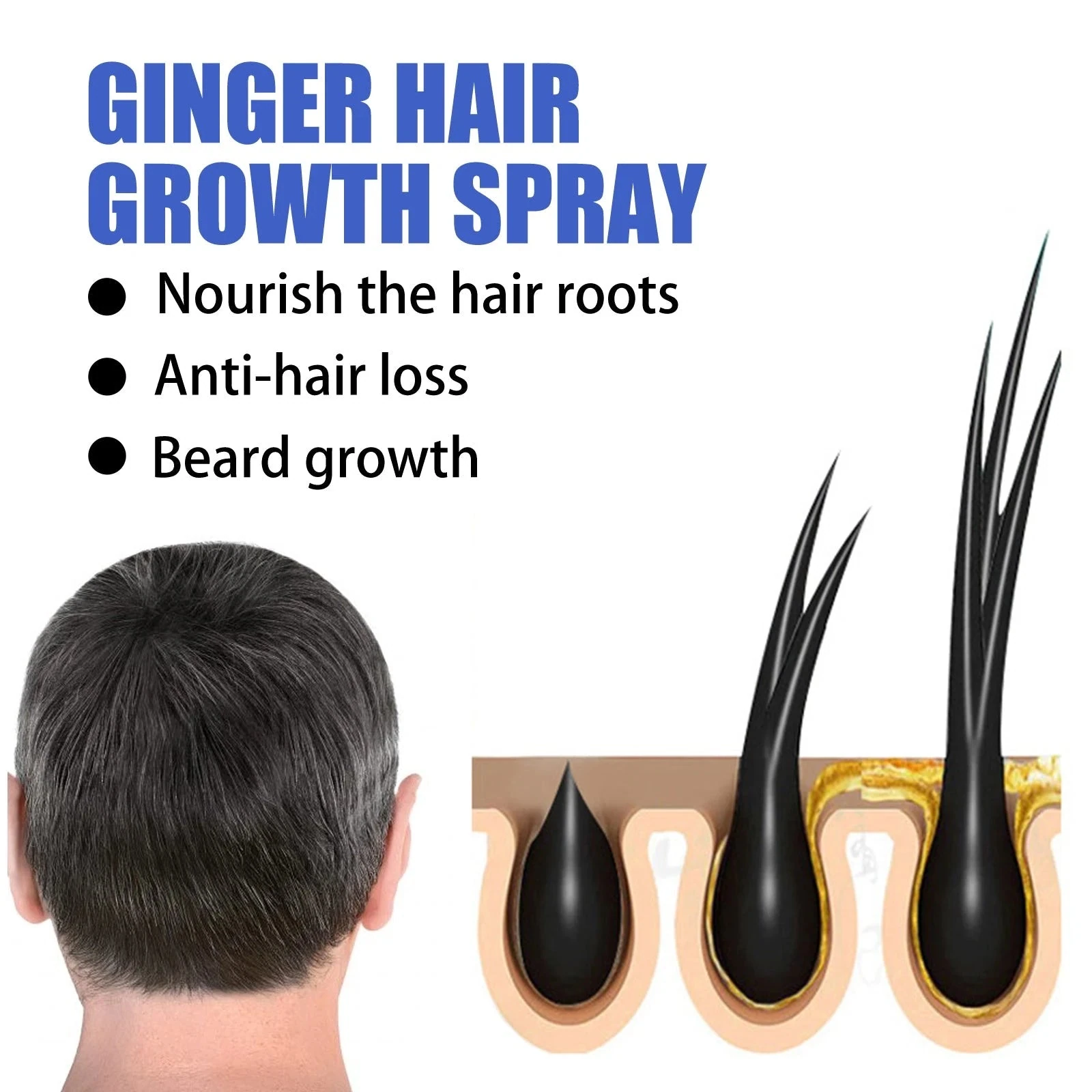 Ginger hair growth spray artwork with root and hair-follicle illustrations