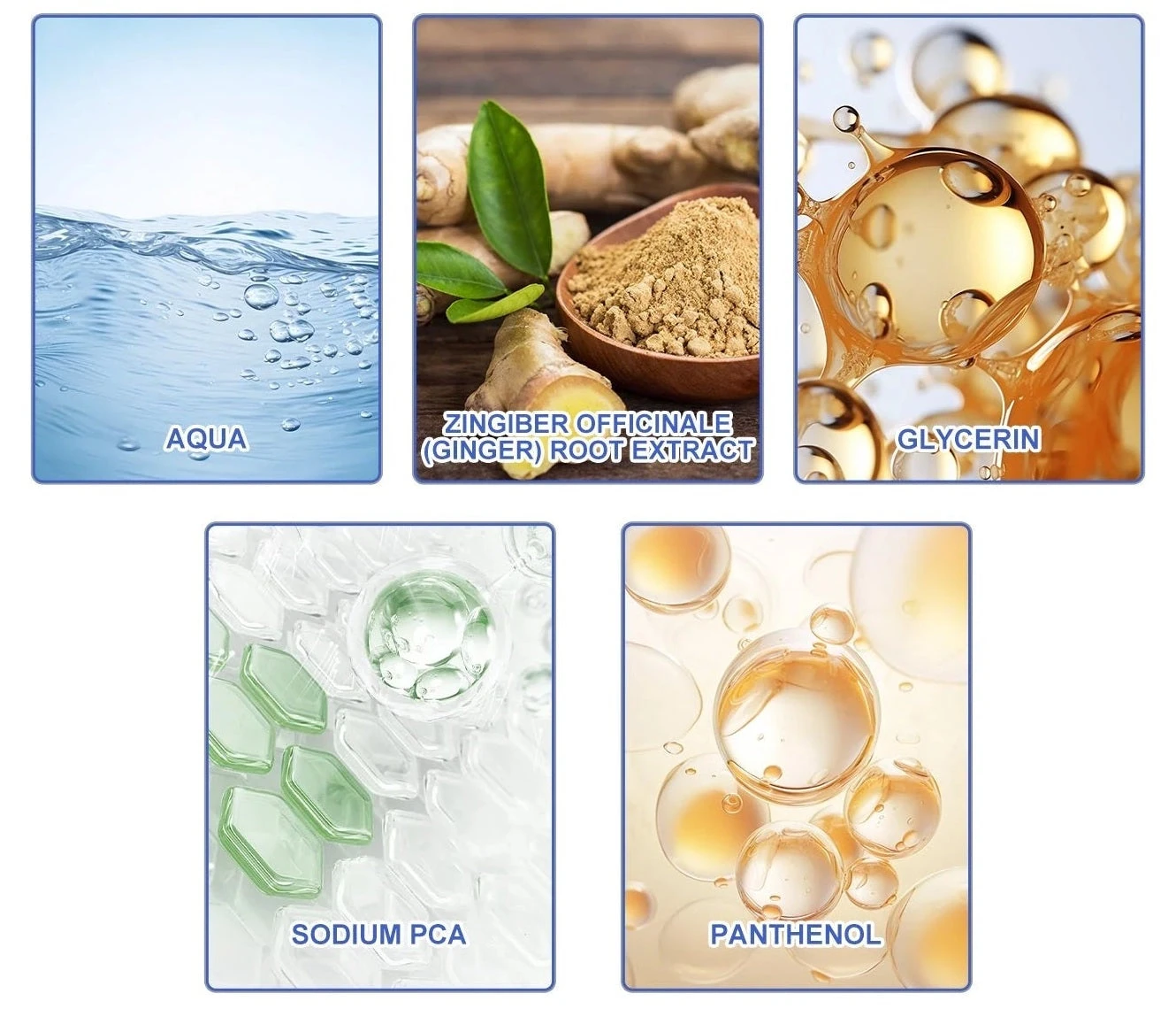 EELHOE Water, ginger, glycerin, sodium PCA and panthenol