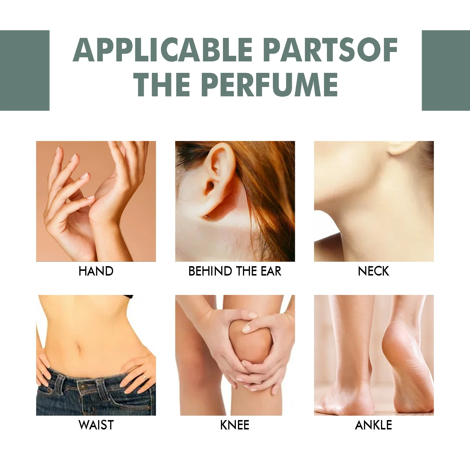Perfume application diagram highlighting wrists, neck and other body areas