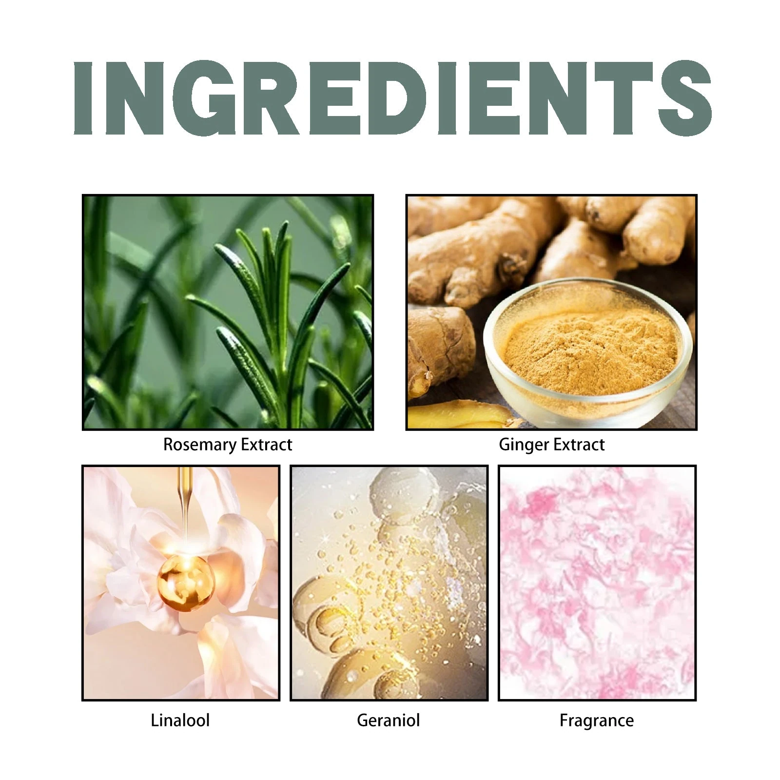 Perfume ingredient panel listing rosemary, ginger, linalool, geraniol and fragrance