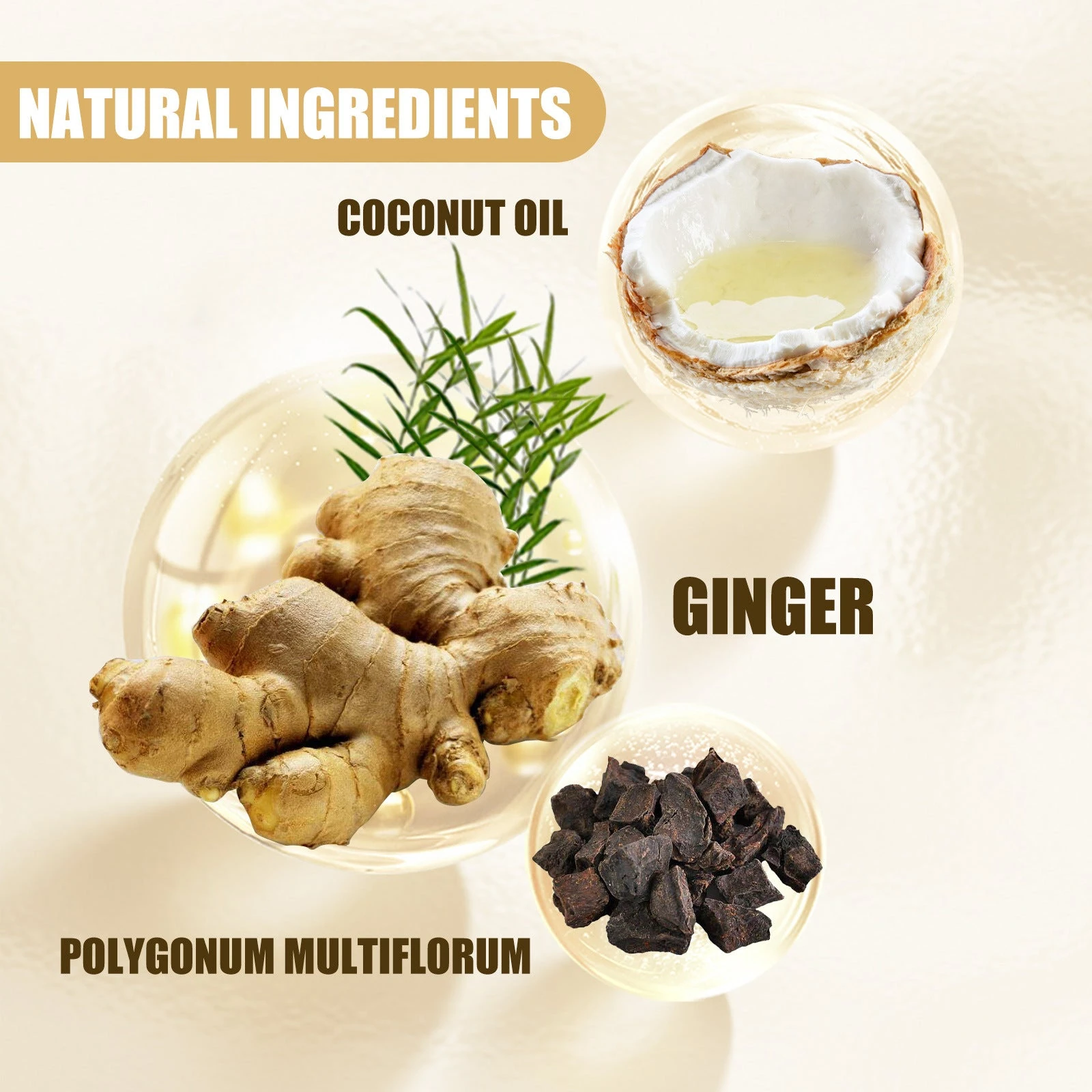 EELHOE Coconut ginger and polygonum panel