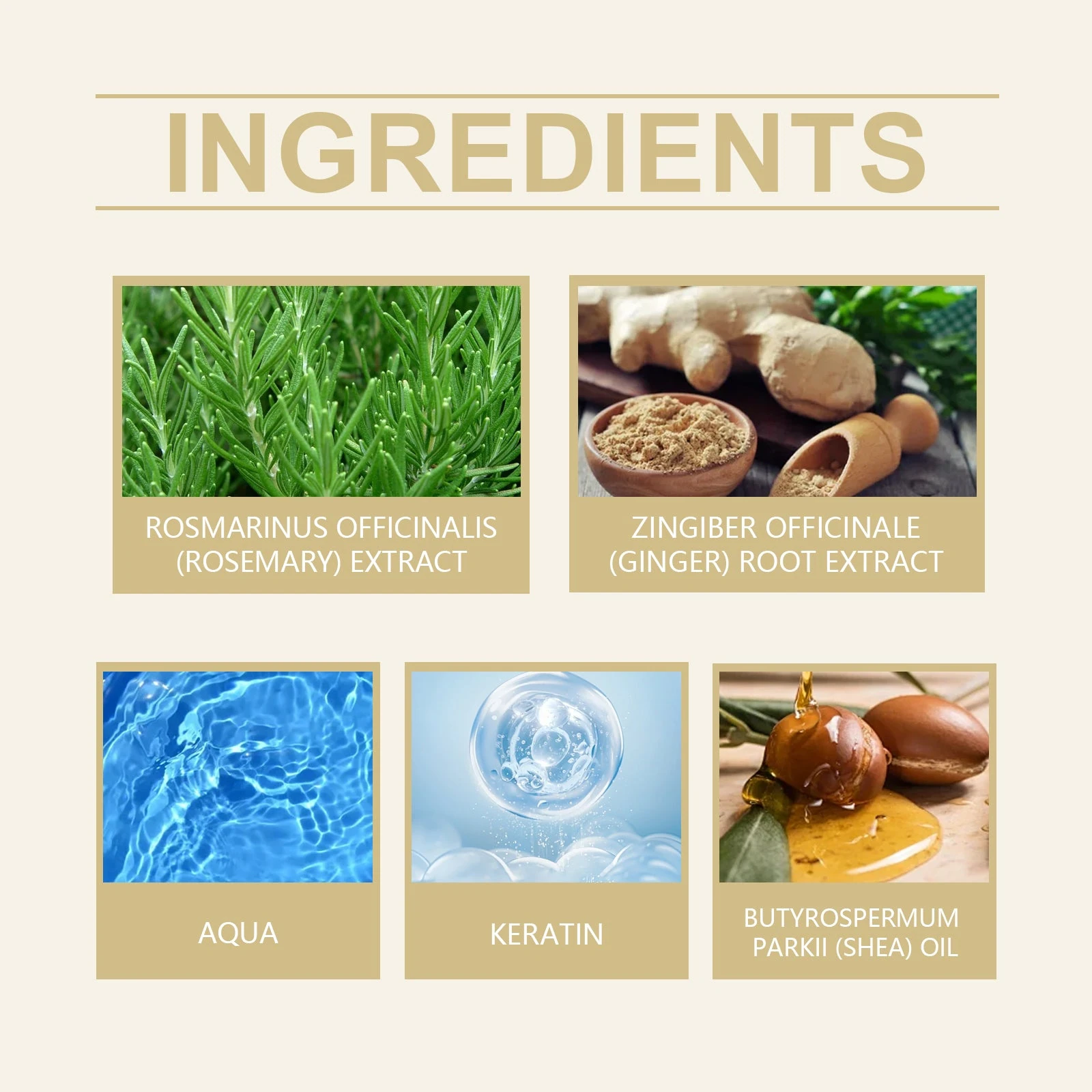 EELHOE Rosemary Conditioner — Rosemary, ginger, aqua, keratin and shea oil highlights.