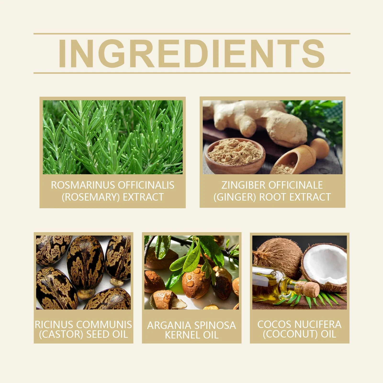 EELHOE Rosemary Hair Oil — Rosemary, ginger, castor oil, argan oil and coconut oil.