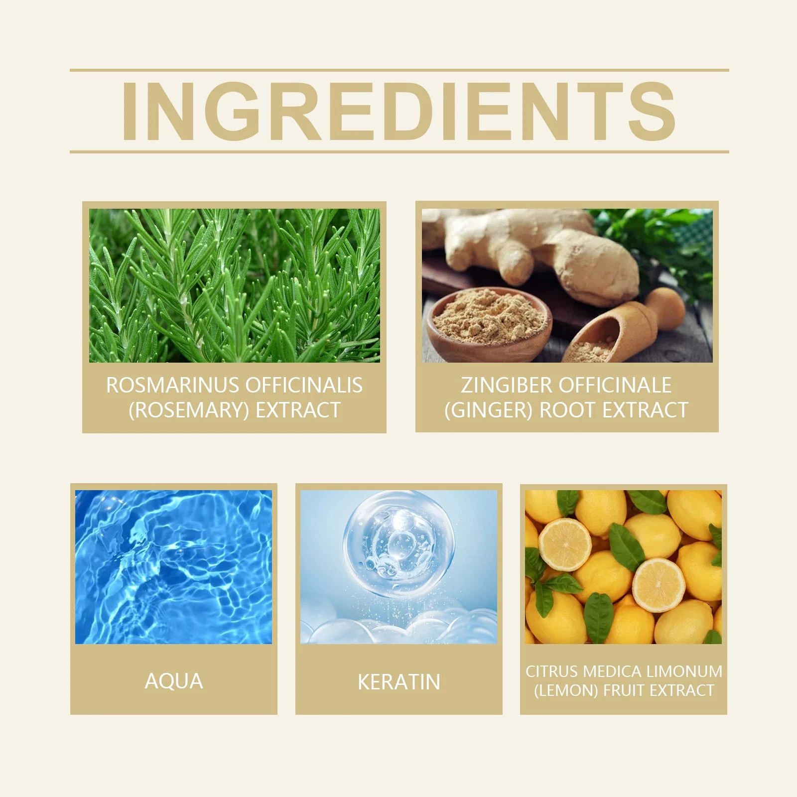 EELHOE Rosemary Shampoo — Rosemary, ginger, water, keratin and lemon extract highlights.