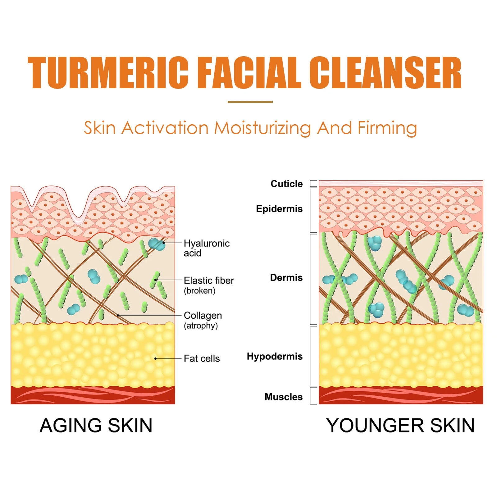 Illustrated skin cross-sections in turmeric cleanser artwork